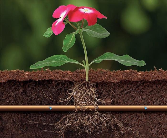 آبیاری زیر سطحی